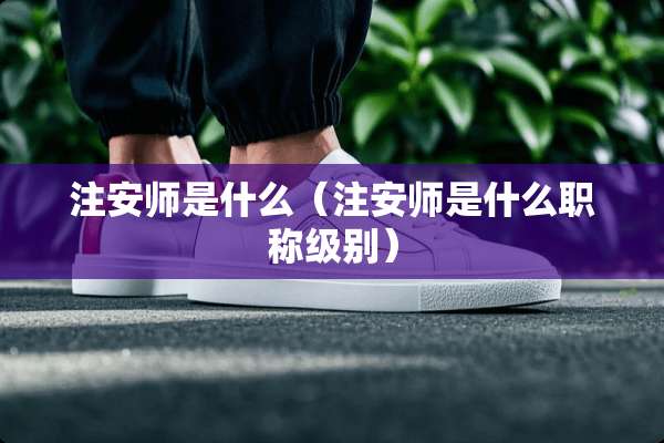 注安师是什么（注安师是什么职称级别）