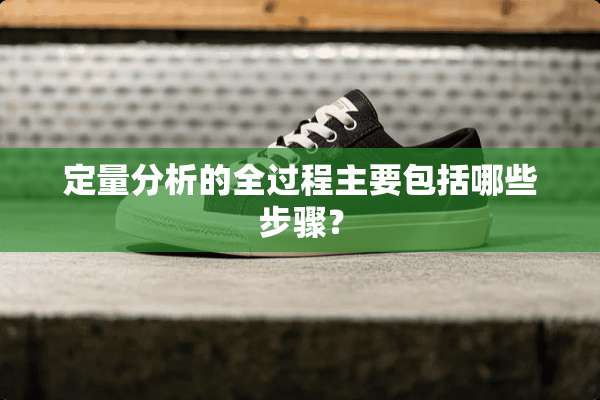 定量分析的全过程主要包括哪些步骤？