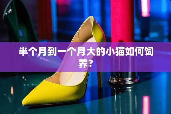 半个月到一个月大的小猫如何饲养？