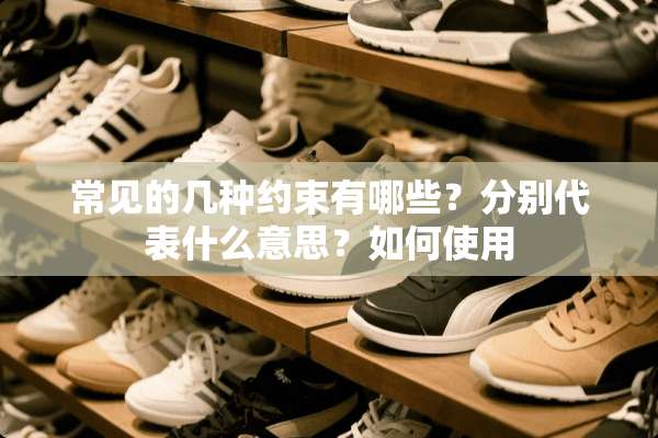 常见的几种约束有哪些？分别代表什么意思？如何使用