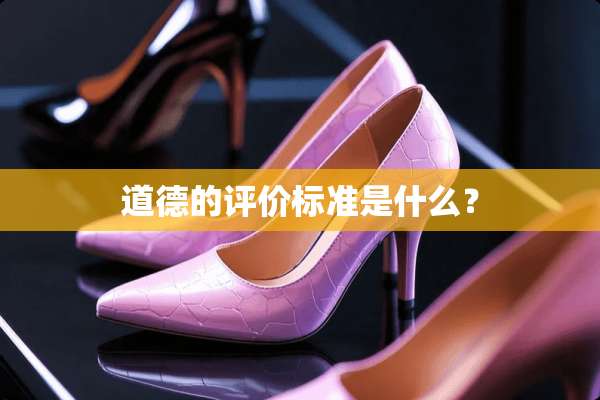 道德的评价标准是什么？