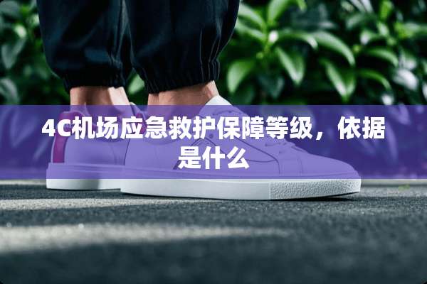 4C机场应急救护保障等级，依据是什么
