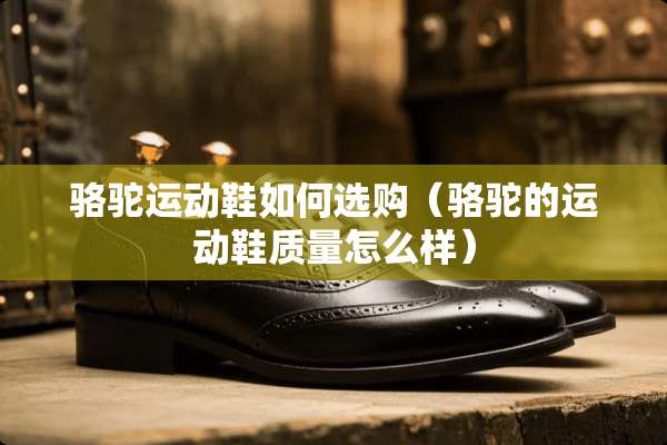 骆驼运动鞋如何选购（骆驼的运动鞋质量怎么样）