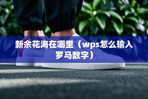 新余花海在哪里（wps怎么输入罗马数字）