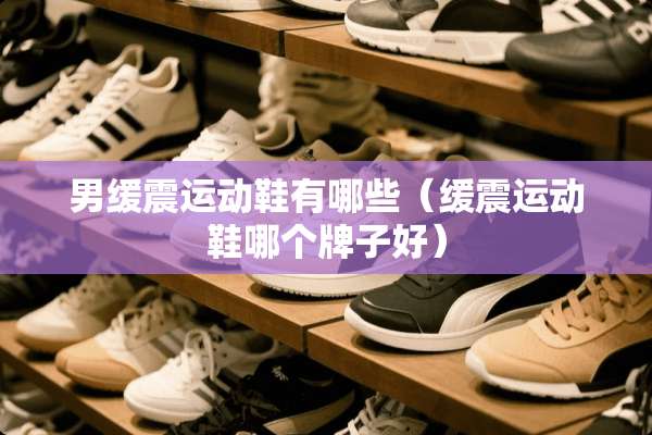 男缓震运动鞋有哪些（缓震运动鞋哪个牌子好）