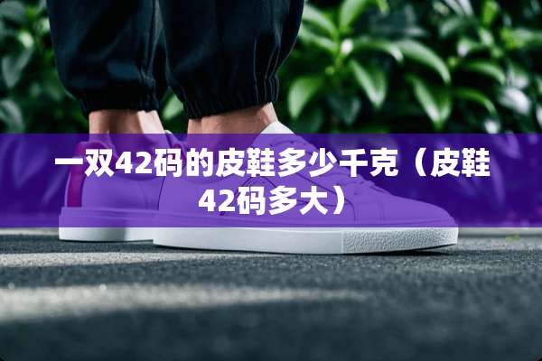 一双42码的皮鞋多少千克（皮鞋42码多大）