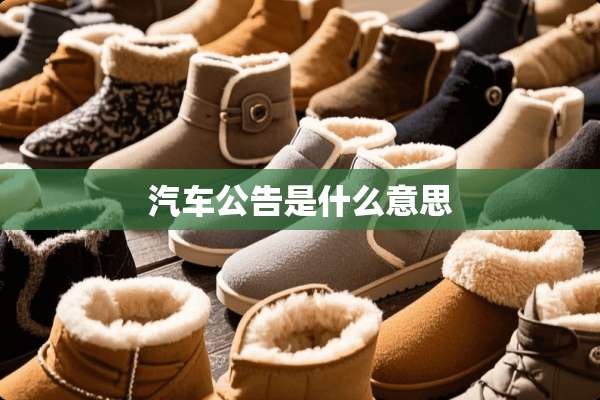 汽车公告是什么意思