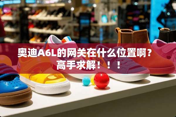 奥迪A6L的网关在什么位置啊？ 高手求解！！！