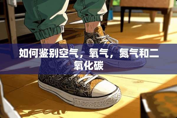 如何鉴别空气，氧气，氮气和二**碳