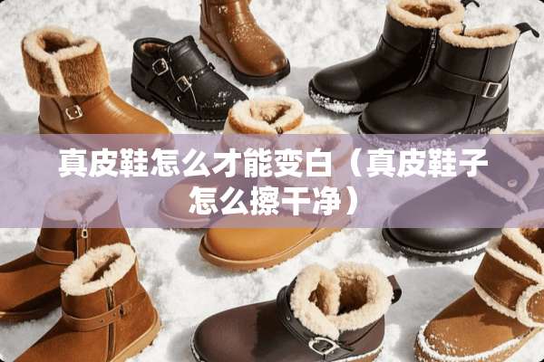 真皮鞋怎么才能变白（真皮鞋子怎么擦干净）