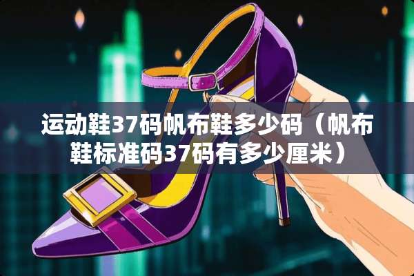 运动鞋37码帆布鞋多少码（帆布鞋标准码37码有多少厘米）
