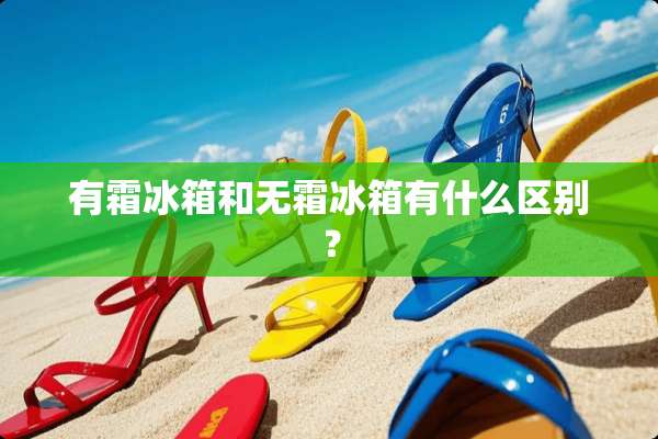 有霜冰箱和无霜冰箱有什么区别？