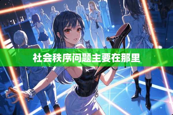 社会秩序问题主要在那里