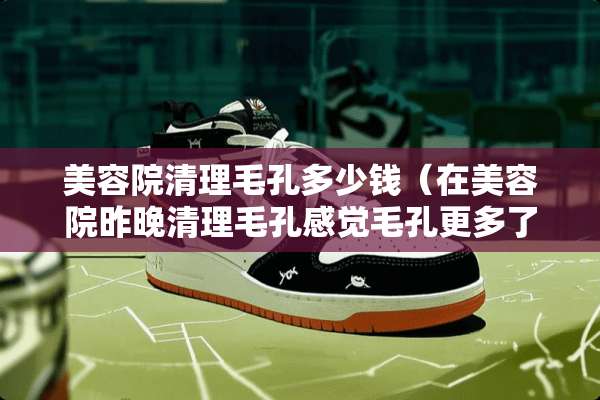 美容院清理毛孔多少钱（在美容院昨晚清理毛孔感觉毛孔更多了）
