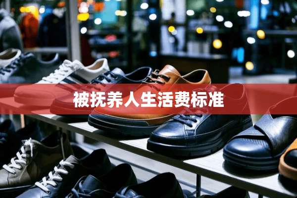 被抚养人生活费标准