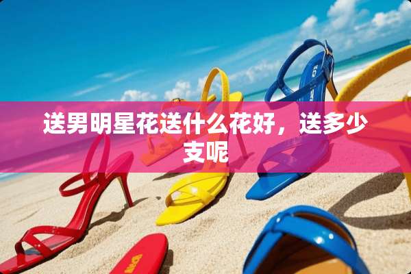 送男明星花送什么花好，送多少支呢
