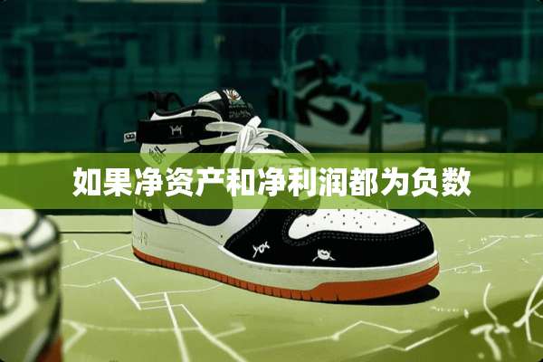 如果净资产和净利润都为负数