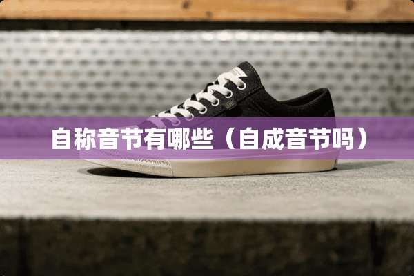 自称音节有哪些（自成音节吗）