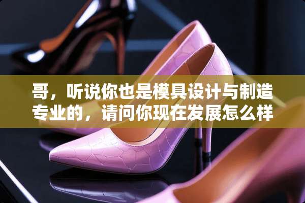 哥，听说你也是模具设计与制造专业的，请问你现在发展怎么样？