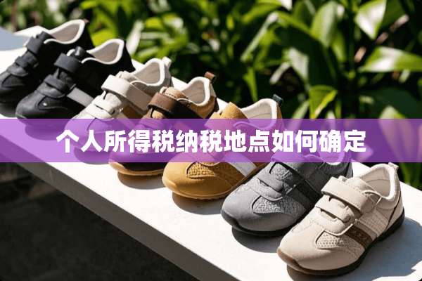 个人所得税纳税地点如何确定