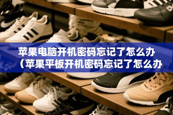 苹果电脑开机密码忘记了怎么办（苹果平板开机密码忘记了怎么办）