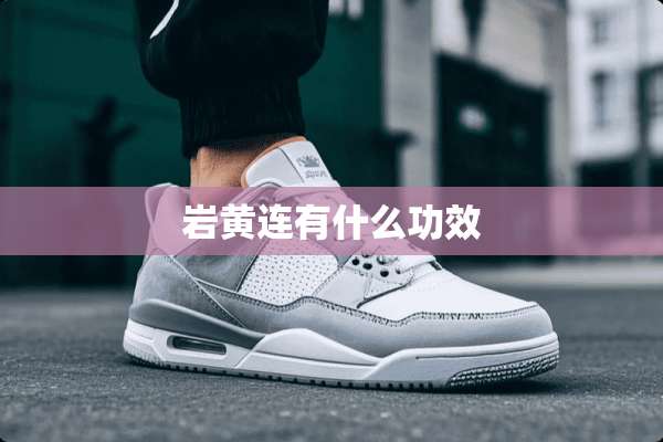 岩黄连有什么功效