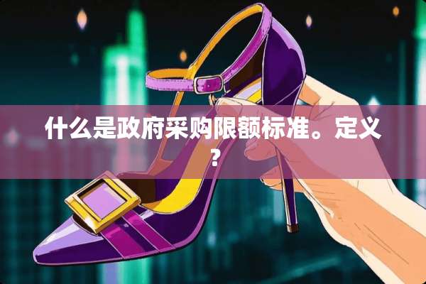 什么是**采购限额标准。定义？