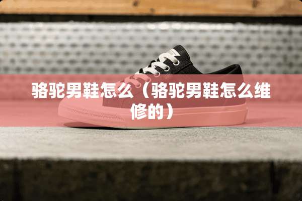 骆驼男鞋怎么（骆驼男鞋怎么维修的）