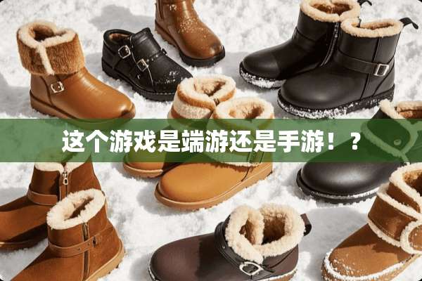 这个游戏是端游还是手游！？