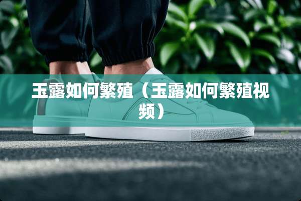 玉露如何繁殖（玉露如何繁殖视频）