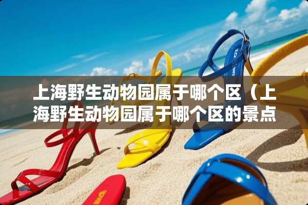 上海野生动物园属于哪个区（上海野生动物园属于哪个区的景点）