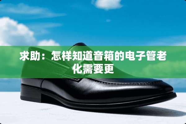 求助：怎样知道音箱的电子管老化需要更