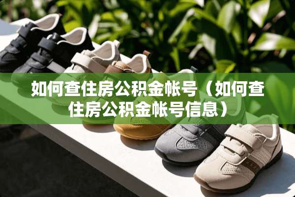 如何查住房公积金帐号（如何查住房公积金帐号信息）