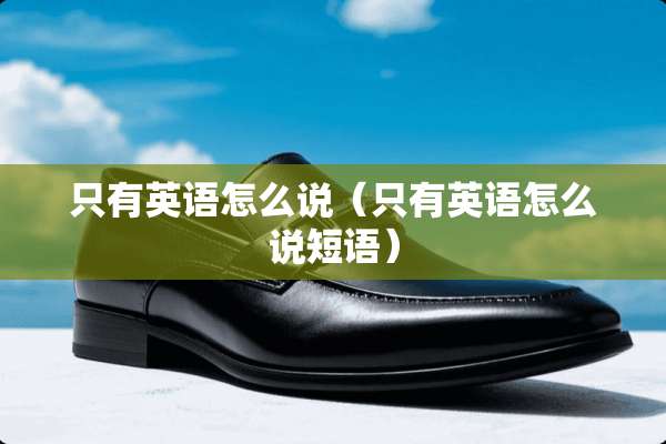 只有英语怎么说（只有英语怎么说短语）