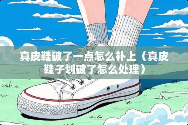 真皮鞋破了一点怎么补上（真皮鞋子划破了怎么处理）