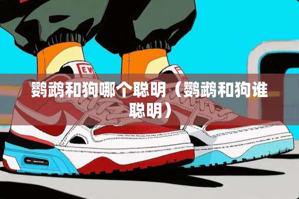 鹦鹉和狗哪个聪明（鹦鹉和狗谁聪明）