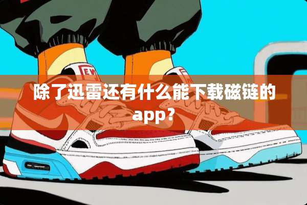除了迅雷还有什么能下载磁链的app？