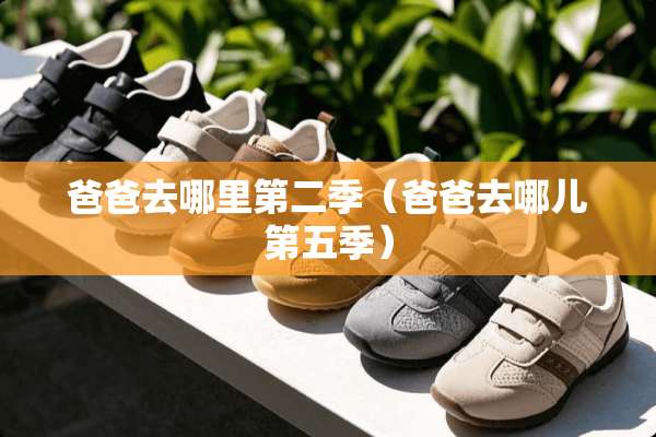 爸爸去哪里第二季（爸爸去哪儿第五季）