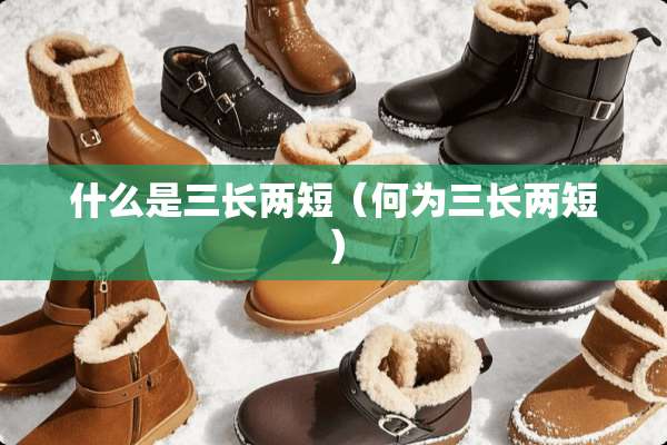 什么是三长两短（何为三长两短）