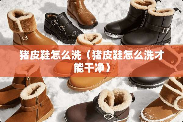 猪皮鞋怎么洗（猪皮鞋怎么洗才能干净）