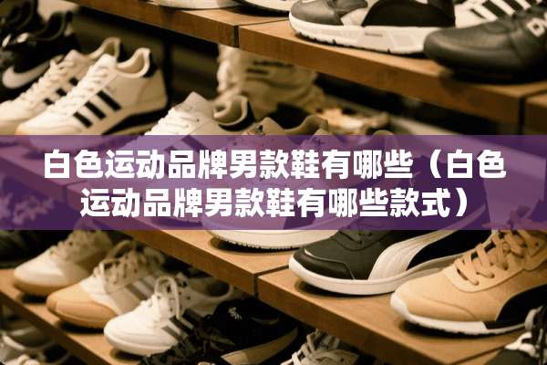 白色运动品牌男款鞋有哪些（白色运动品牌男款鞋有哪些款式）