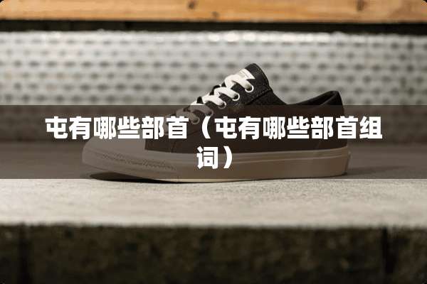屯有哪些部首（屯有哪些部首组词）