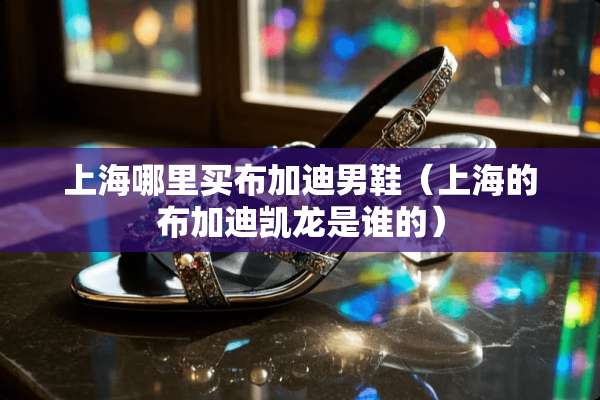 上海哪里买布加迪男鞋（上海的布加迪凯龙是谁的）