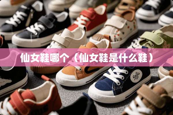 仙女鞋哪个（仙女鞋是什么鞋）