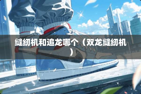 缝纫机和追龙哪个（双龙缝纫机）