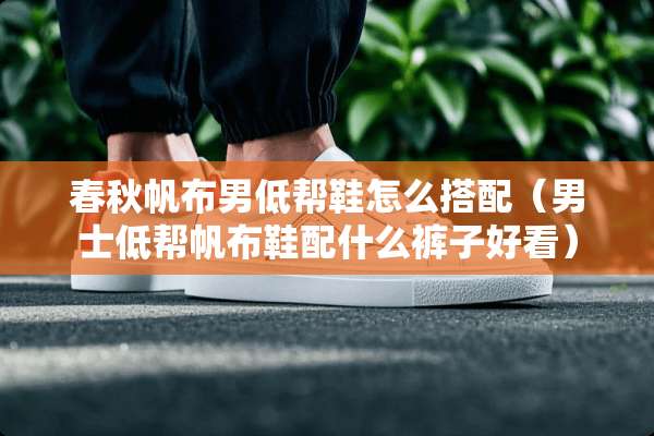 春秋帆布男低帮鞋怎么搭配（男士低帮帆布鞋配什么裤子好看）