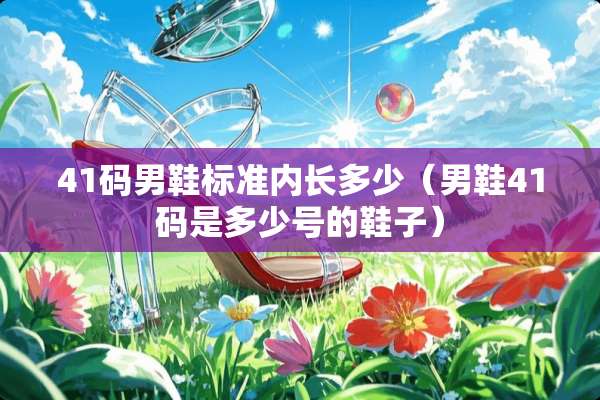 41码男鞋标准内长多少（男鞋41码是多少号的鞋子）