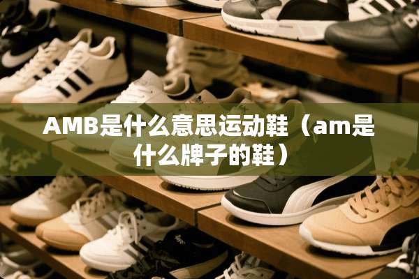 AMB是什么意思运动鞋（am是什么牌子的鞋）