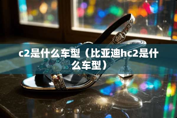 c2是什么车型（比亚迪hc2是什么车型）
