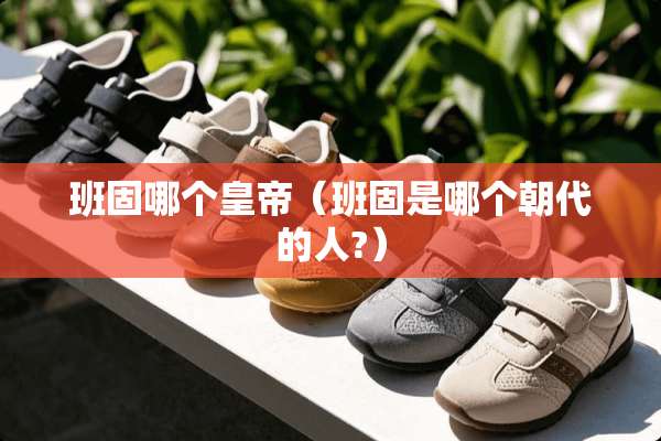 班固哪个皇帝（班固是哪个朝代的人?）
